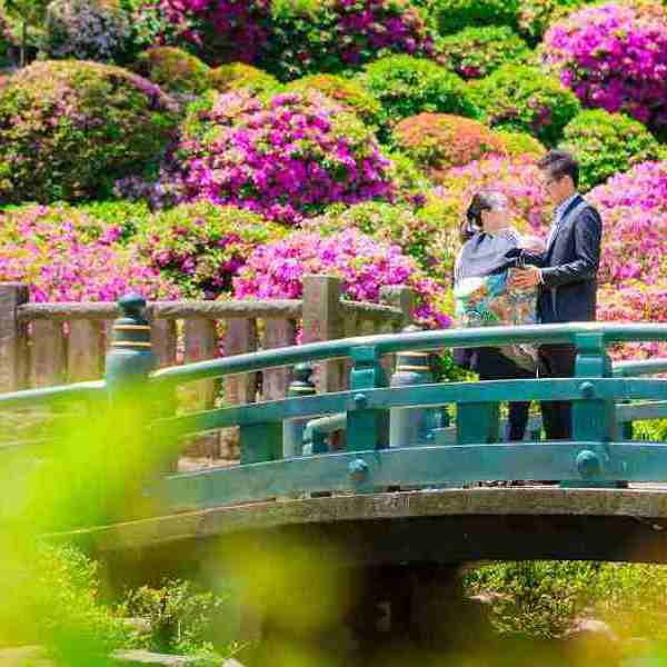 お宮参り・七五三-5のサムネイル